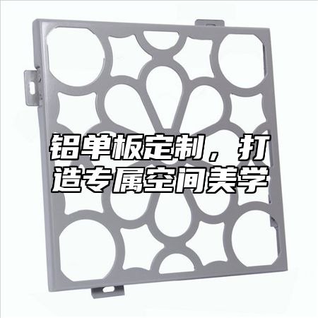 铝单板定制，打造专属空间美学